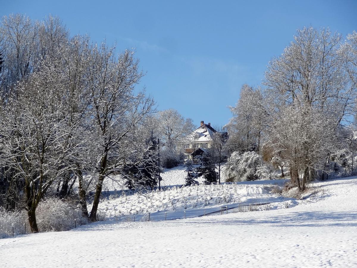 Landhaus Loewenzahn Unteregg Dış mekan fotoğraf